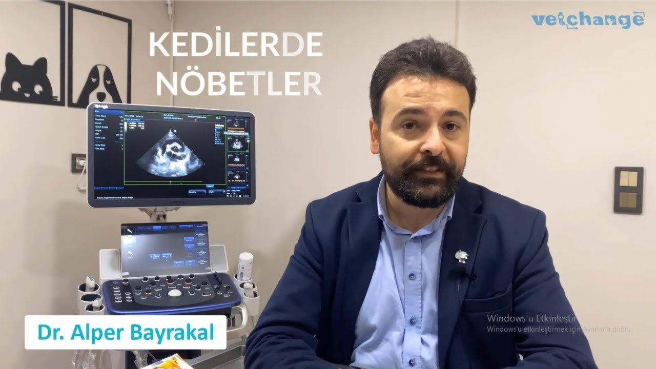 5 dk'da Kedilerde Epilepsi ''Dr. Alper Bayrakal''